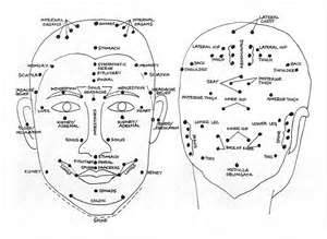 Face Reflexology Chart Printable